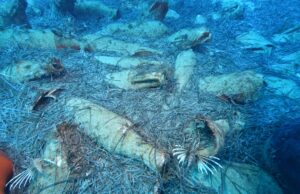 Αρχαίο ναυάγιο ρωμαϊκών χρόνων εντοπίστηκε στη θάλασσα του Πρωταρά