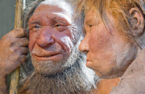 Mάλλον οι ίδιοι οι Νεάντερταλ ευθύνονται για την εξαφάνιση τους