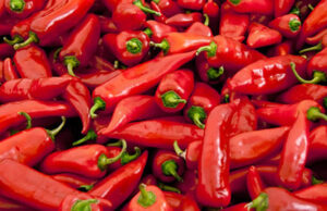 H πιο επικίνδυνη πιπεριά στον κόσμο λέγεται «Χάρος της Καρολίνα»