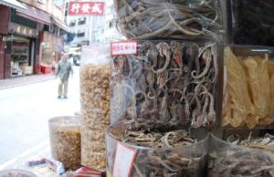 Η χρήση των ιππόκαμπων ως «βιάγκρα» απειλεί την ύπαρξή τους