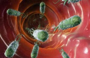 Εντόπισαν 2.000 άγνωστα βακτήρια στο ανθρώπινο έντερο