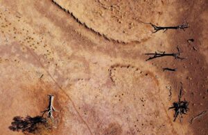 Καύσωνας σαρώνει την Αυστραλία: Αναγκάστηκαν να σκοτώσουν δεκάδες άλογα που ψυχορραγούσαν