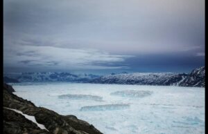 Ο άνθρωπος απειλεί τον πλανήτη με βιβλική καταστροφή και 1 εκατ. είδη με εξαφάνιση