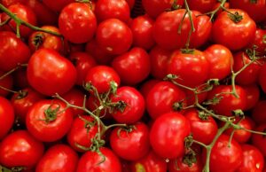 Aντιοξειδωτική ουσία που περιέχεται στις ντομάτες βελτιώνει το ανδρικό σπέρμα