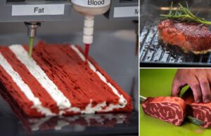 Εσείς θα τρώγατε steak εκτυπωμένο από 3D printer; Το πρώτο είναι γεγονός!