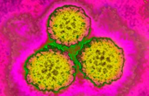 Βρετανία: Επέκταση του προγράμματος εμβολιασμού κατά του HPV και στα αγόρια