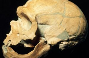 Νέα επιστημονική μελέτη: Όλοι οι σύγχρονοι άνθρωποι φέρουν λίγο από το DNA των Νεάντερταλ