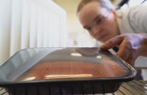 Αισθητήρας ανιχνεύει αν τα συσκευασμένα τρόφιμα είναι χαλασμένα