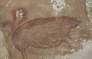 Ανακαλύφθηκε στην Ινδονησία η αρχαιότερη σπηλαιογραφία ζώου στον κόσμο, 45.500 ετών