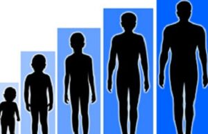 Μεγαλύτερος ο κίνδυνος καρκίνου για τους ψηλούς, επειδή έχουν περισσότερα κύτταρα