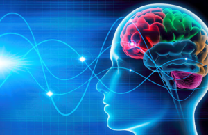 Το μαγνητικό πεδίο της γης μπορούν να το αισθανθούν και οι άνθρωποι