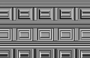 Μπορείτε να δείτε τους κύκλους σε αυτή την εικόνα;