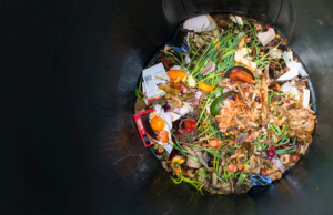 “Ό,τι τρώμε μας σκοτώνει”, αποφαίνεται παγκόσμια έκθεση για την διατροφή