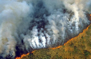 «Κλιματικός συναγερμός» οι λέξεις της χρονιάς για το λεξικό της Οξφόρδης