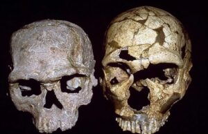 Το αρχαιότερο δείγμα κρανίου Homo Sapiens ανακαλύφθηκε στην Ελλάδα