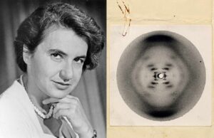 Διεθνής Ημέρα Γυναικών και Κοριτσιών στην Επιστήμη: Φάκελος Βραβεία Νόμπελ. Της Δρος Μελίτας Μενελάου