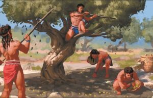 Ενα γενεαλογικό δέντρο στην Αχαΐα το 1500 π.Χ.