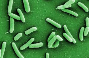 «Μικρορομπότ» που κολυμπούν στο αίμα εξολοθρεύουν θανατηφόρο βακτήριο