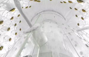 Επιστήμονες ανακάλυψαν μορφή της ύλης όπου ο χρόνος έχει δύο διαστάσεις