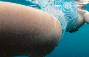 Γιατί ανατριχιάζουμε;