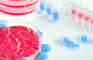 Το πρώτο τεχνητό μοσχαρίσιο φιλέτο «δηλώνει» απόλυτη ομοιότητα με το φυσικό