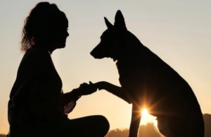 Ο σκύλος έγινε ο καλύτερος φίλος του ανθρώπου πολύ νωρίτερα από αυτό που νομίζαμε