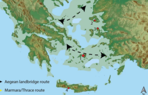 Οι ανθρωπίνοι διέσχιζαν το Αιγαίο Πέλαγος πριν μισό εκατομμύριο χρόνια