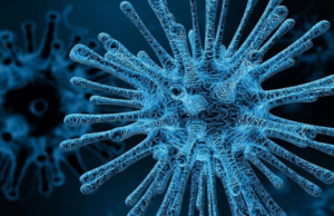 Εντοπίστηκε οργανισμός που τρέφεται αποκλειστικά με ιούς