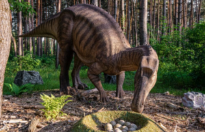 Ανακαλύφθηκε το μεγαλύτερο εκκολαπτήριο γιγάντιων δεινοσαύρων