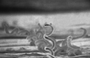 16 Ιουλίου: Σαν Σήμερα, το 1998…