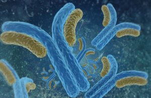 Σχεδιάστηκε το πρώτο αντίσωμα το οποίο αναγνωρίζει στον εγκέφαλο τις τοξικές ουσίες που προκαλούν Αλτσχάιμερ