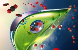 Τεχνητό φύλλο καλύτερο από τα πραγματικά!