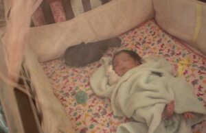 Ομάδα του ΑΠΘ ανέπτυξε εφαρμογή “μετάφρασης” βρεφικού κλάματος