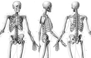 Σπάνε τα ανδρικά κόκαλα από το πολύ… καθισιό