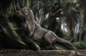 Ανατρεπτική μελέτη αλλάζει τον χάρτη της εξέλιξης της ζωής στη Γη