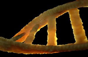 Κοροναϊός: Πιθανή «καθολική» θεραπεία με mRNA