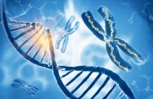 Όταν τo DNA μετατρέπεται σε σκληρό δίσκο: Αποθηκεύοντας δεδομένα για 1.000 χρόνια