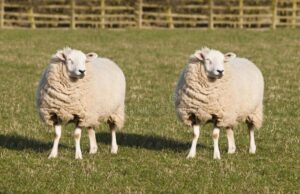 Σαν Σήμερα: 5 Ιουλίου