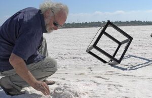 Το Αριστείο της Κυπριακής Δημοκρατίας 2021 που απονέμει η Κυπριακή Ακαδημία Επιστημών, Γραμμάτων και Τεχνών στον εικαστικό Νίκο Κουρούσιη