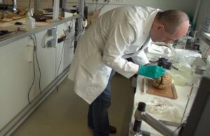 «Πρόγραμμα Ανθρώπινος Εγκέφαλος»: Στόχος η δημιουργία μιας σκεπτόμενης μηχανής