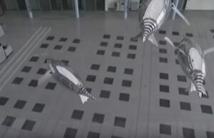 Τα ρομπότ που… κολυμπούν και πετούν