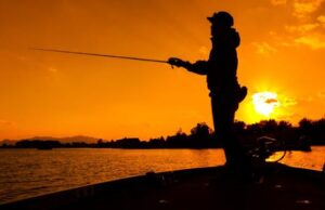 Μελέτη σοκ – Γιατί θεωρείται επικίνδυνη στις ΗΠΑ η κατανάλωση ψαριών του γλυκού νερού