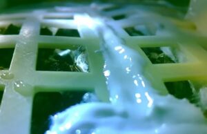 Δεν τα κατάφερε ο κινεζικός σπόρος βαμβακιού στη Σελήνη: Λύγισε από το παγωμένο βράδυ των -170 βαθμών Κελσίου