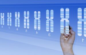 Οι άνδρες διαθέτουν έξτρα χρωμοσώματα που απειλούν την υγεία του