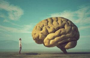 Εντοπίστηκαν τρία γονίδια που έπαιξαν ρόλο-κλειδί για να μεγαλώσει ο ανθρώπινος εγκέφαλος