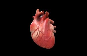 Νέος παράγοντας κινδύνου αναγνωρίστηκε στην καρδιοπάθεια