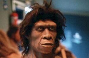 Ο Homo erectus «εφηύρε» τον λόγο και μπόρεσε να ταξιδέψει