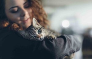 Υπάρχουν συναισθηματικοί δεσμοί μεταξύ γάτων και ιδιοκτητών