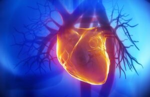 Η ορμόνη της αγάπης επουλώνει (πραγματικά) πληγωμένες καρδιές