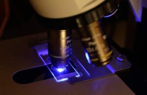 Μια «Κιβωτό του Νώε» για όλα τα είδη μικροοργανισμών προτείνουν επιστήμονες